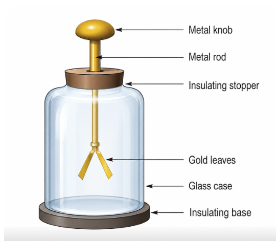 Gold-leaf electroscope diagram showing metal knob, rod, and diverging gold leaves when charged
