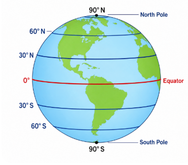 Globe with Latitudes